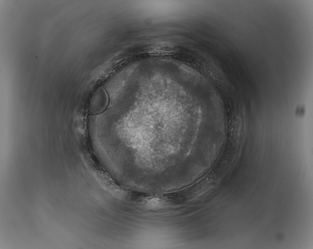 X0000113230755200909241522