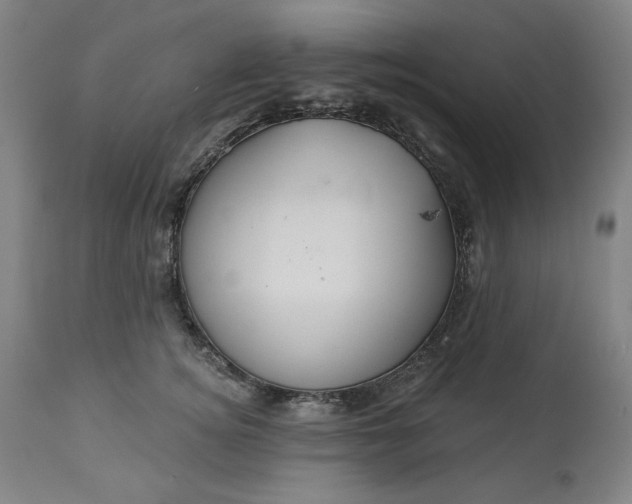 X0000113230756200909241522