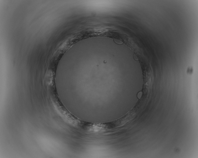 X0000113230758200909241522