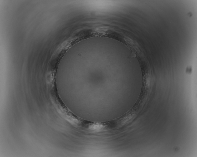 X0000113230759200909241522