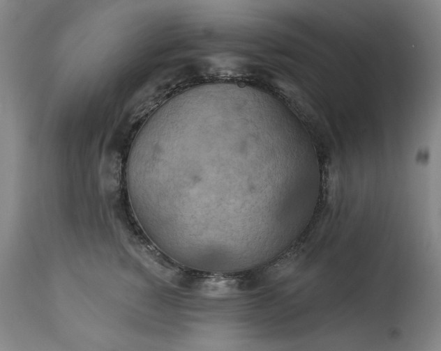 X0000113230760200909241522