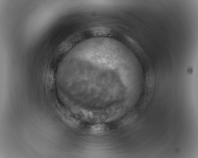 X0000113230761200909241522