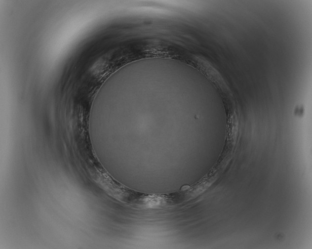 X0000113230762200909241522