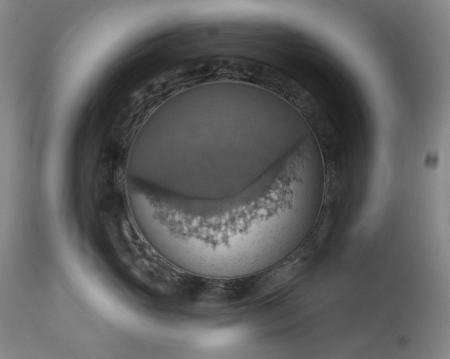 X0000113230765200909241522