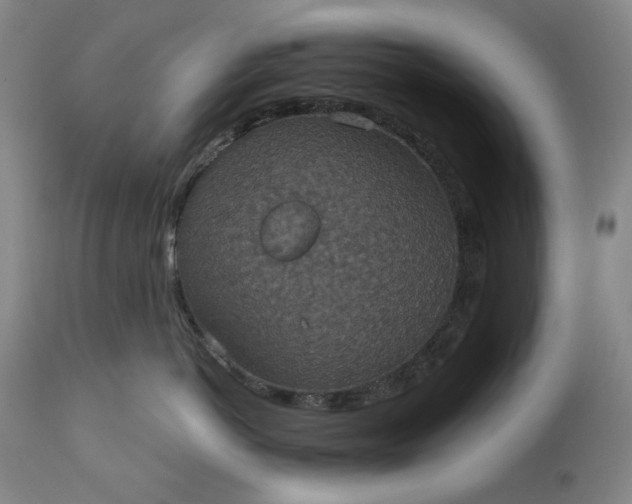 X0000113230766200909241523