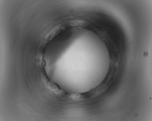 X0000113230767200909241523