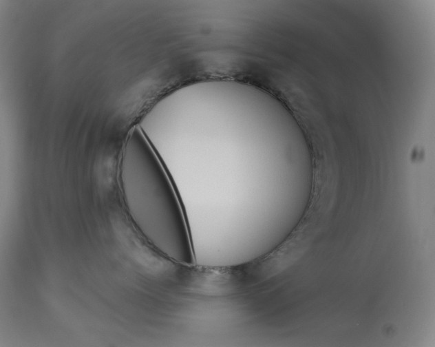 X0000113230768200909241523