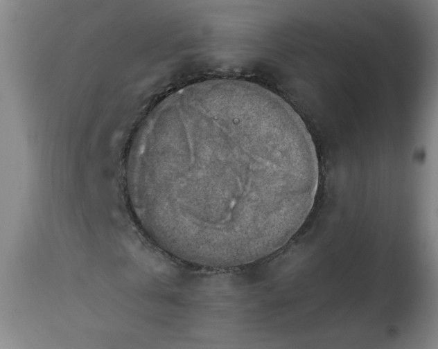 X0000113230769200909241522