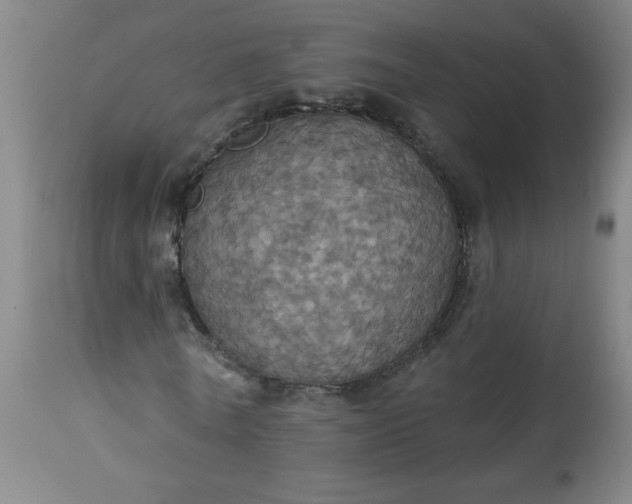 X0000113230770200909241522