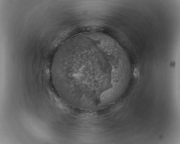 X0000113230771200909241522