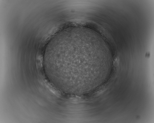 X0000113230772200909241522