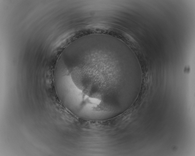 X0000113230774200909241522