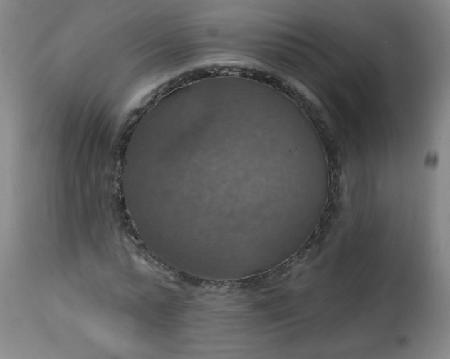 X0000113230775200909241522