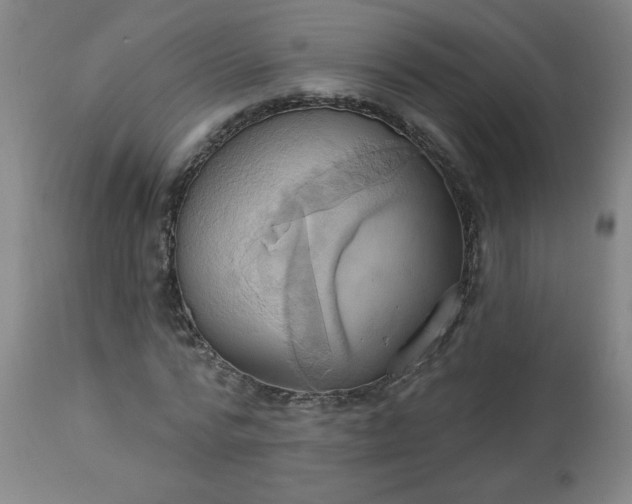 X0000113230776200909241522