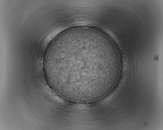 X0000113230778200909241522