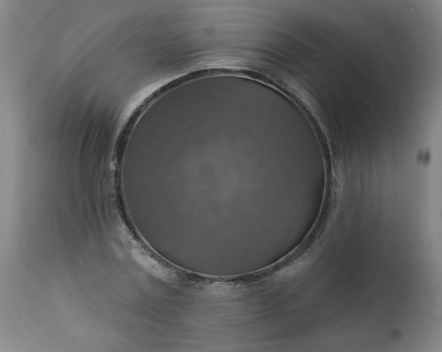 X0000113230779200909241522