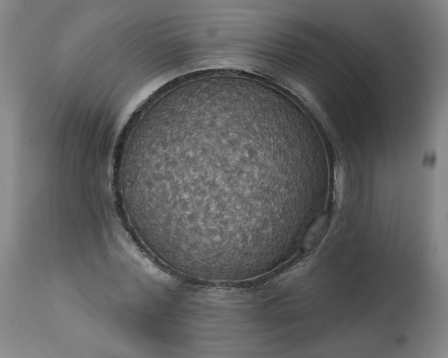 X0000113230780200909241522