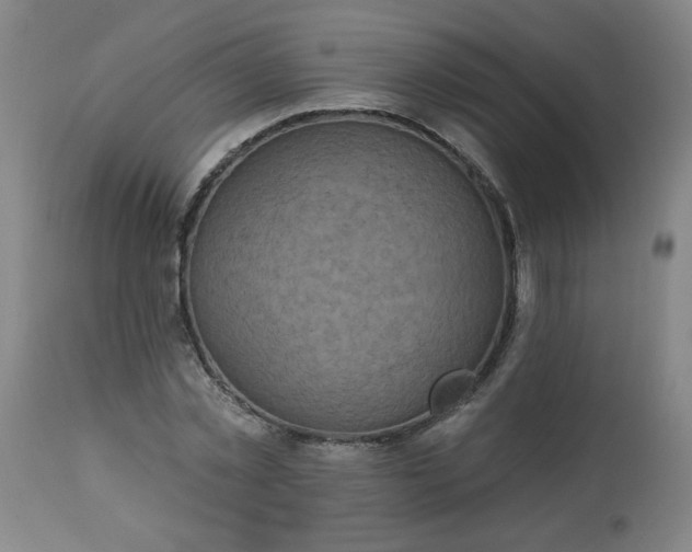 X0000113230781200909241522