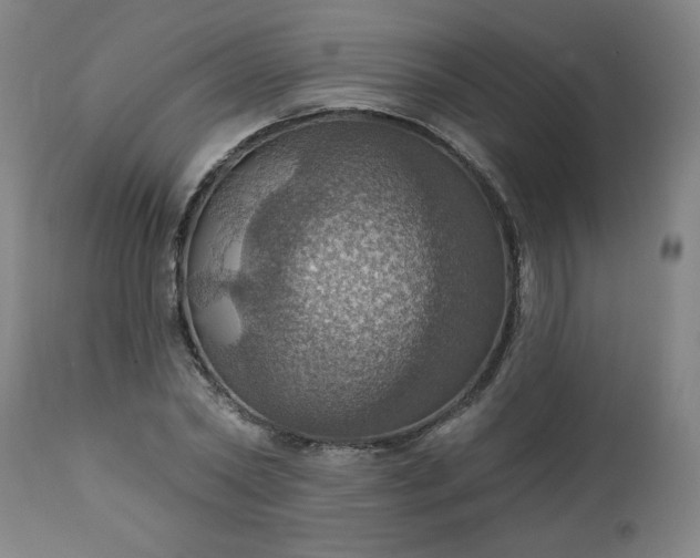 X0000113230782200909241522