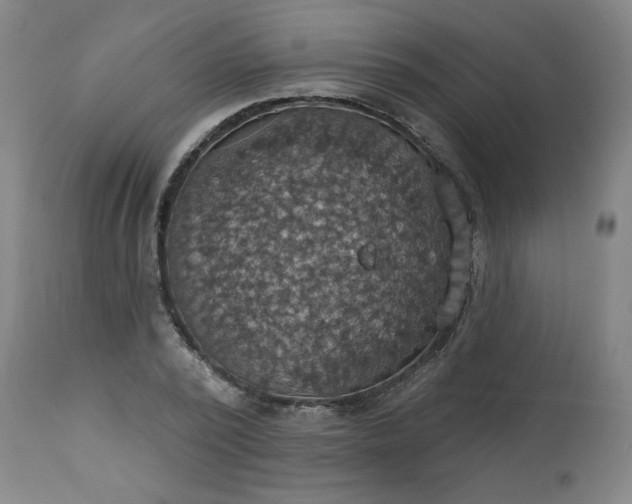 X0000113230784200909241521