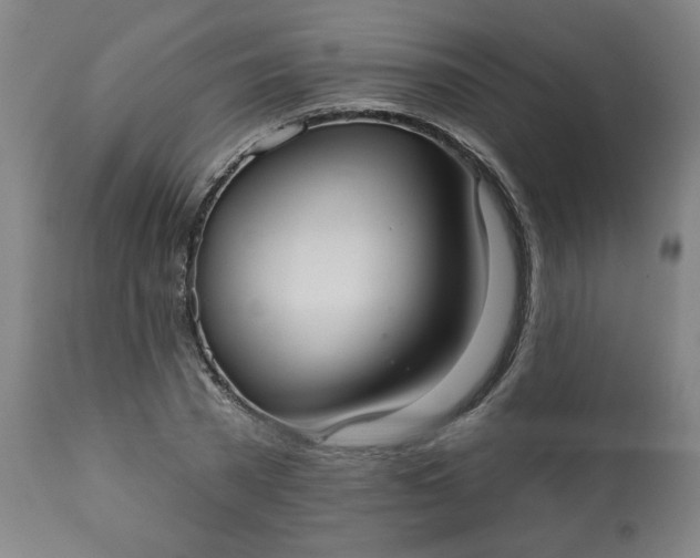 X0000113230785200909241521