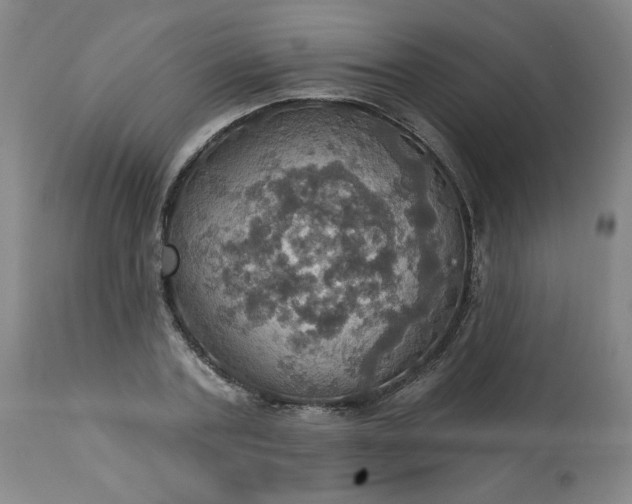 X0000113230787200909241521