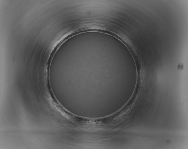 X0000113230790200909241521