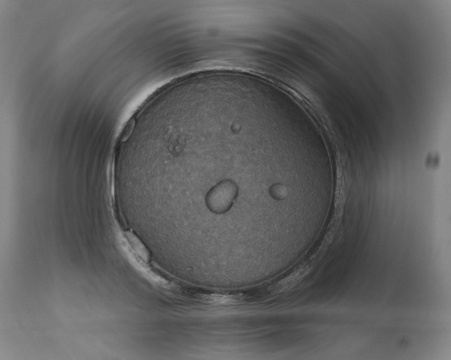 X0000113230796200909241521