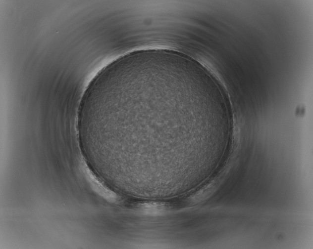 X0000113230797200909241521