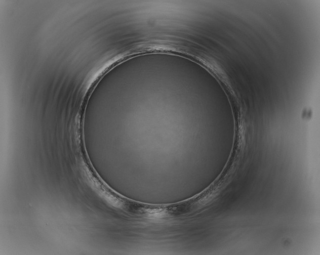 X0000113230798200909241521