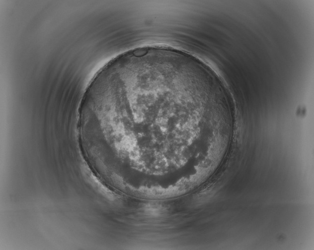 X0000113230799200909241521