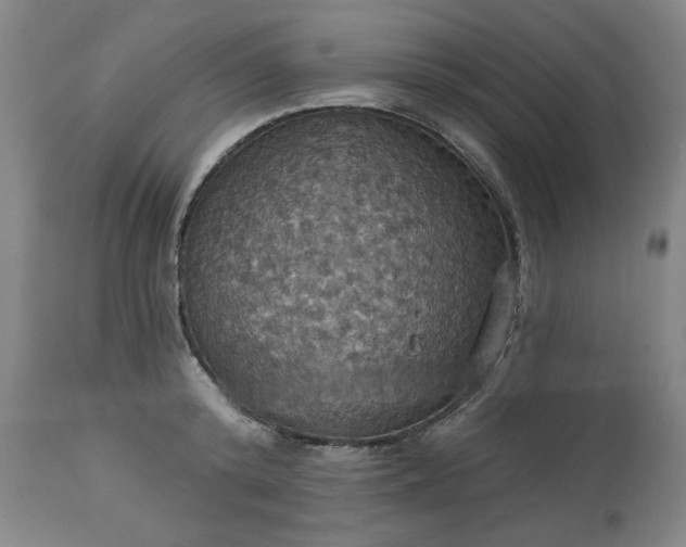 X0000113230800200909241521