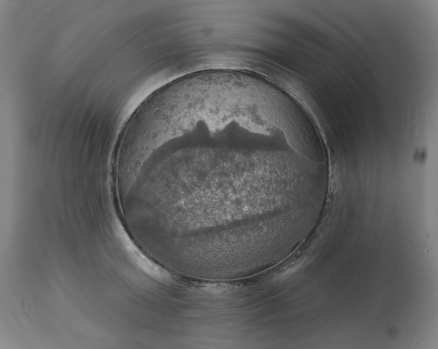 X0000113230803200909241521