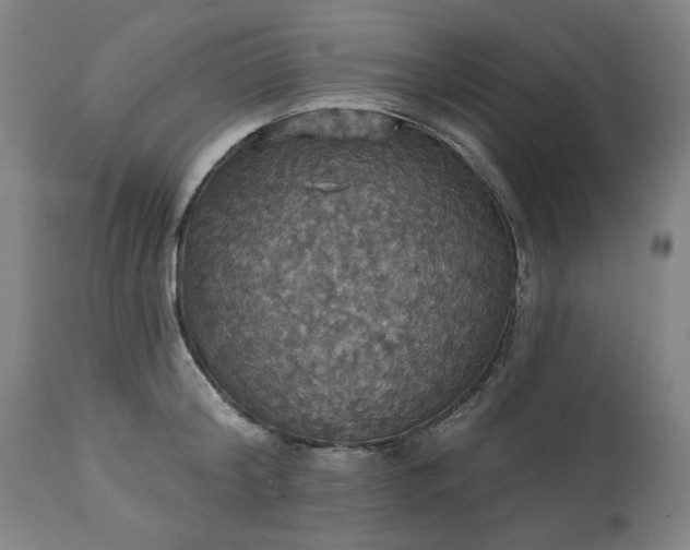 X0000113230804200909241521