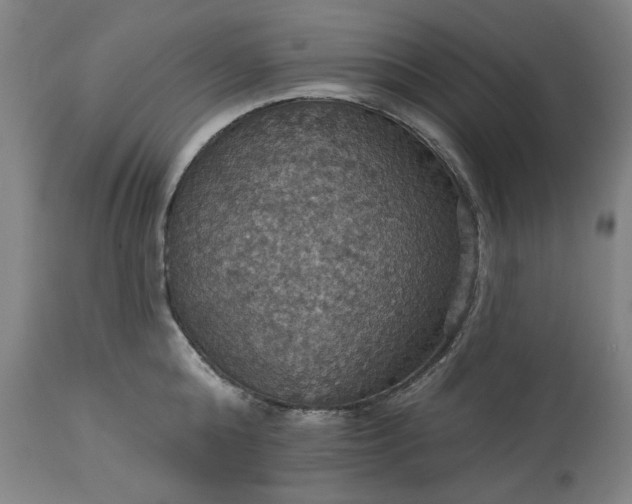 X0000113230808200909241521