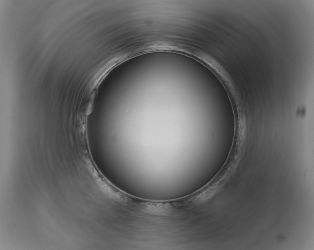 X0000113230809200909241521