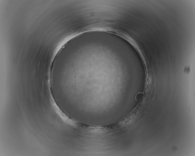 X0000113230811200909241521