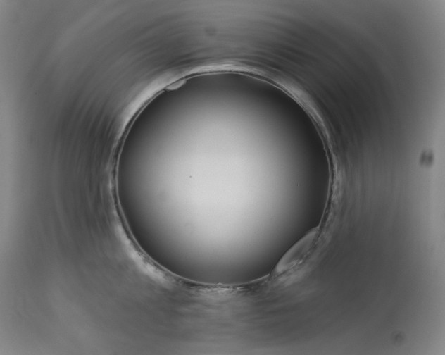 X0000113230813200909241521