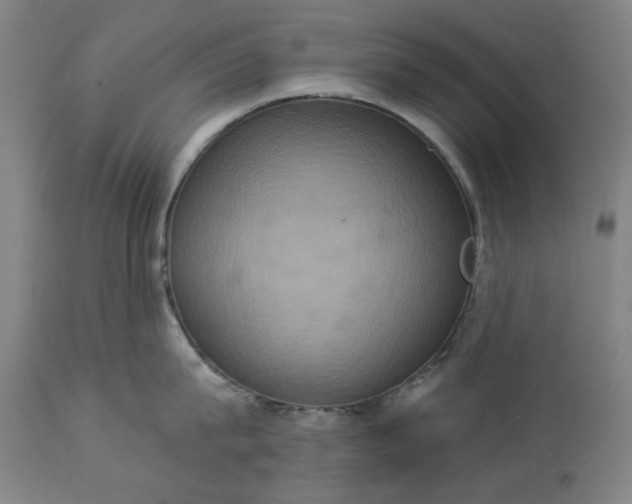 X0000113230815200909241521