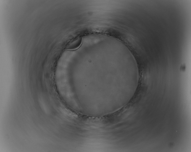 X0000113230817200909241520