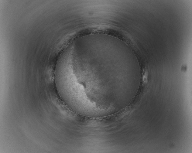 X0000113230819200909241520