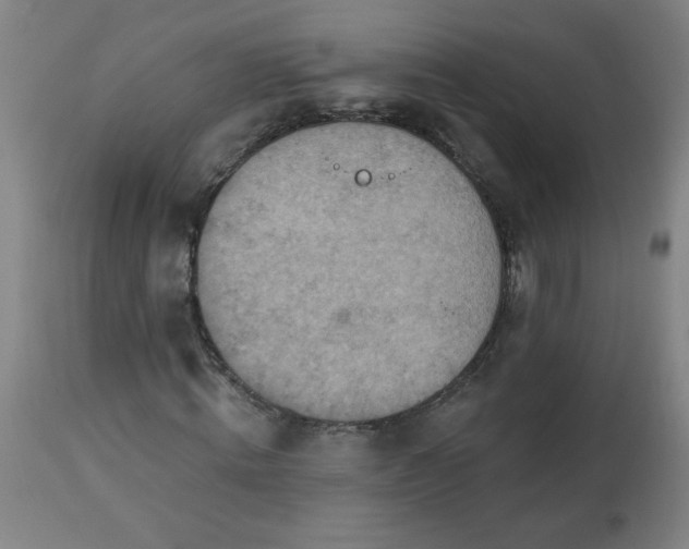 X0000113230820200909241520