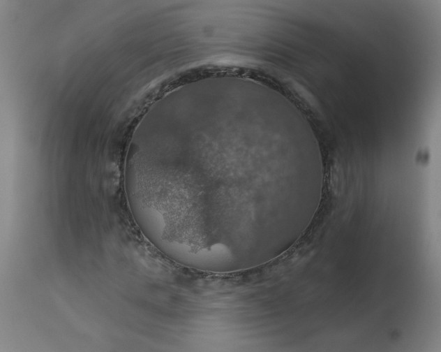 X0000113230821200909241520