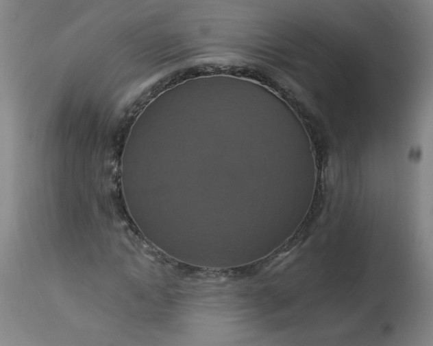 X0000113230822200909241520