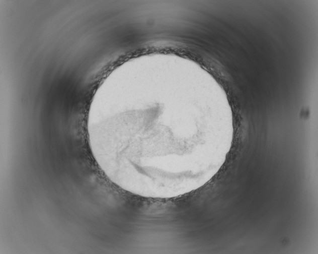 X0000113230824200909241520