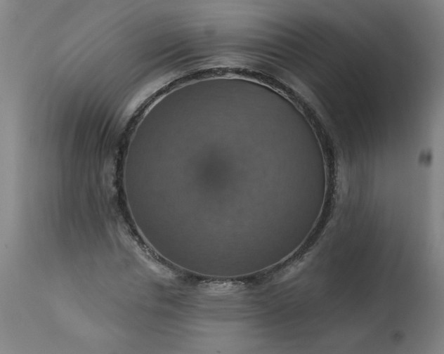 X0000113230826200909241521