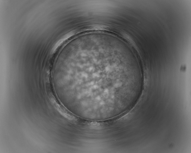 X0000113230827200909241521