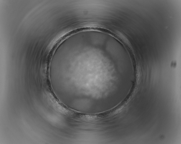 X0000113230831200909241521