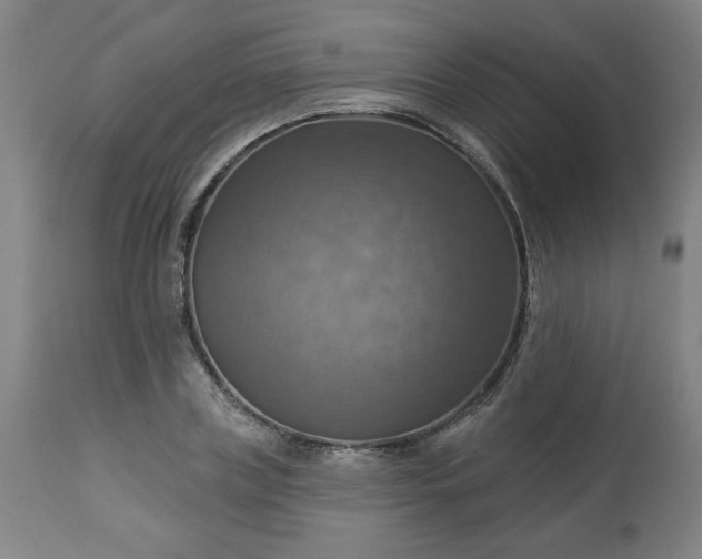 X0000113230835200909241521