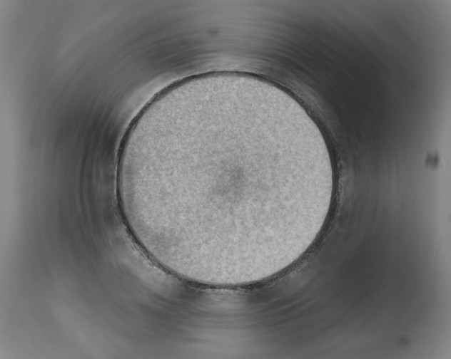 X0000113230836200909241521